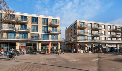 homes for rent on Operaplein 233