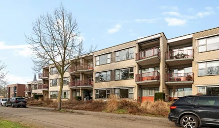 homes for rent on Steintjesweide 11