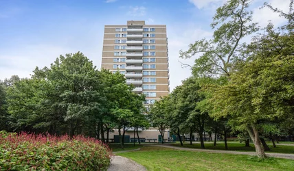 appartementen te huur op Staalmeesterslaan 305
