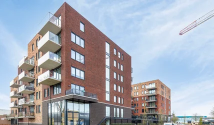 studios for rent on Eris 41