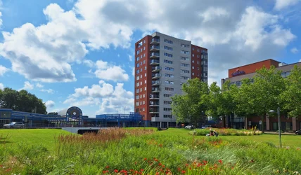 vrije-sector-woningen te huur op Trambaan 55