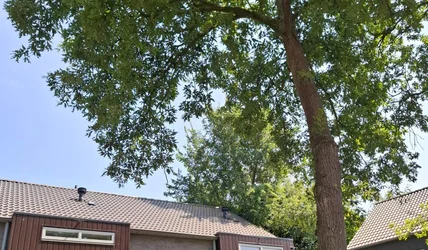 particuliere-woningen te huur op Wijzend 21