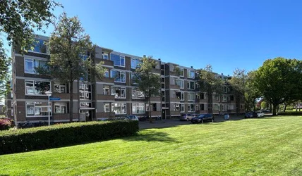studios te huur op Kromhoutstraat 41