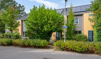 apartments for rent on Wijzend 25